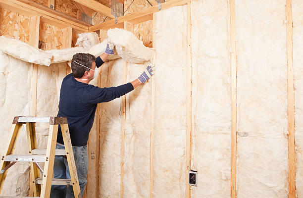 Best Blown-In Insulation  in Maan, ND